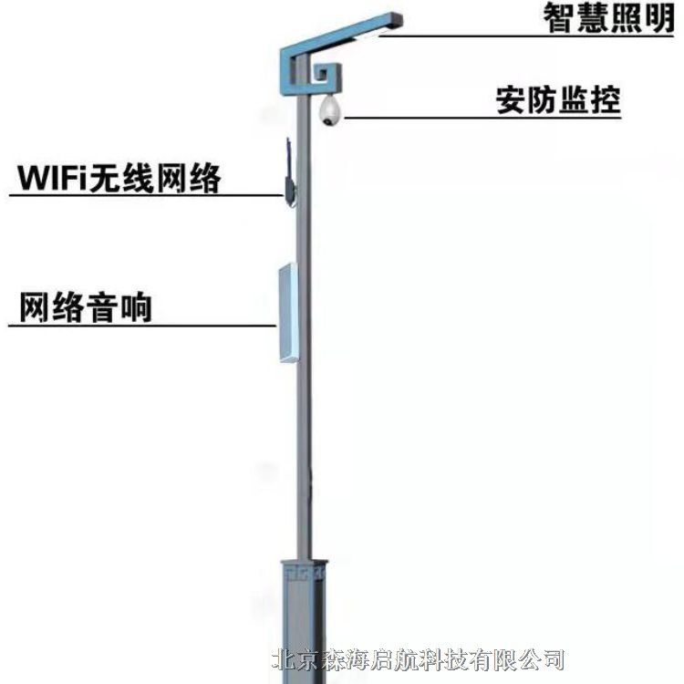 智慧路燈 長期供應戶外照明燈具